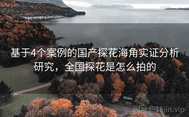 基于4个案例的国产探花海角实证分析研究，全国探花是怎么拍的