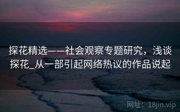 探花精选——社会观察专题研究，浅谈探花_从一部引起网络热议的作品说起
